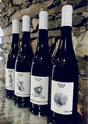 Vignoble Gunther chereau - Nos dernières réalisations - Studio Vert anis design graphique