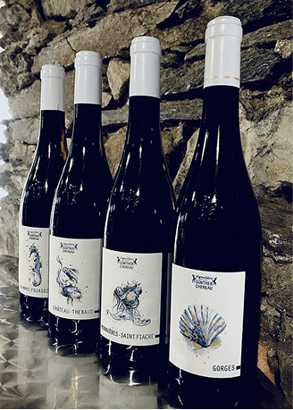 Vignoble gunther Chereau - Studio graphique - Vert anis design graphique