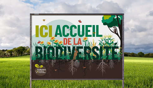 AGRICULTURE DE CONSERVATION DES SOLS - Chambre d’agriculture de région pays de la loire 1 - studio vert anis