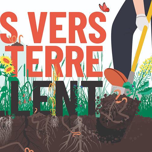 AGRICULTURE DE CONSERVATION DES SOLS - Chambre d’agriculture de région pays de la loire 8 - studio vert anis