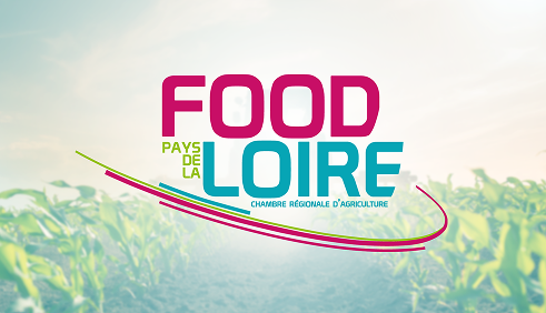 Food loire 2 identité visuelle - support print et web - studio vert anis