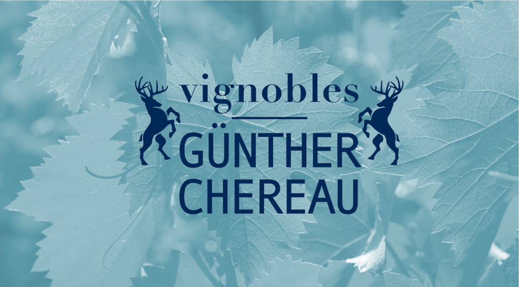 Gunther Chereau - studio vert anis -pichi@2x