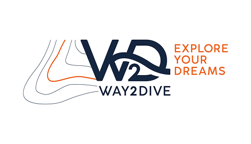 W2D logo blanc- création d'identité visuelle - studio vert anis